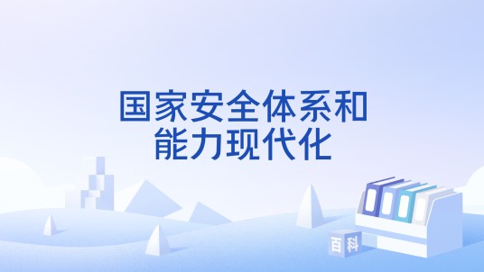 国家安全体系和能力现代化