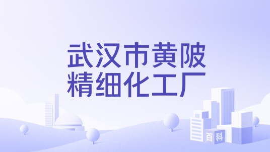 武汉市黄陂精细化工厂