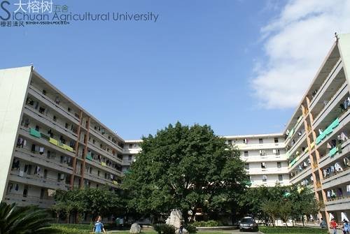 四川农业大学动物科技学院