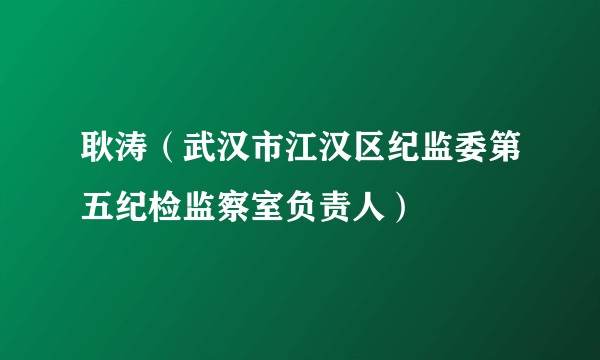 耿涛（武汉市江汉区纪监委第五纪检监察室负责人）
