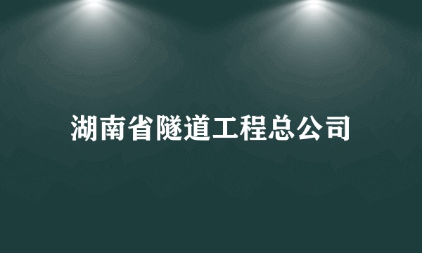 湖南省隧道工程总公司