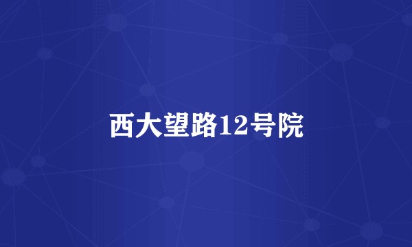 西大望路12号院