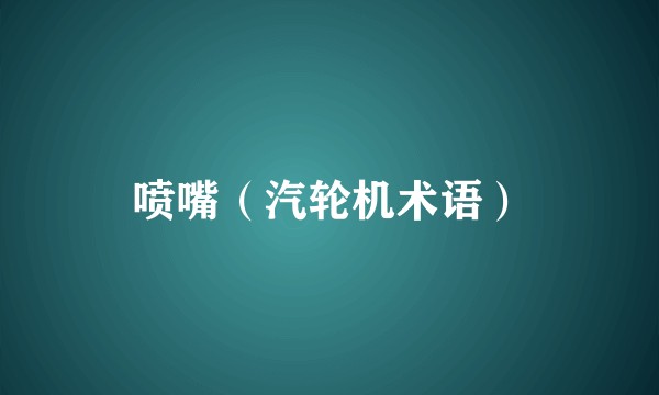 喷嘴（汽轮机术语）