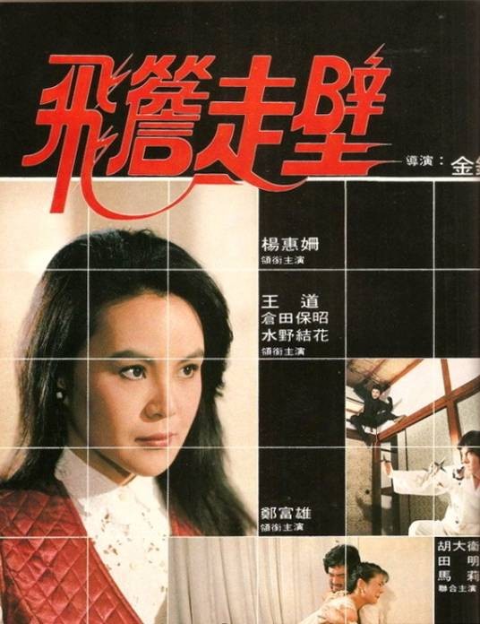 飞檐走壁（1982年金铭执导的台湾悬疑动作电影）