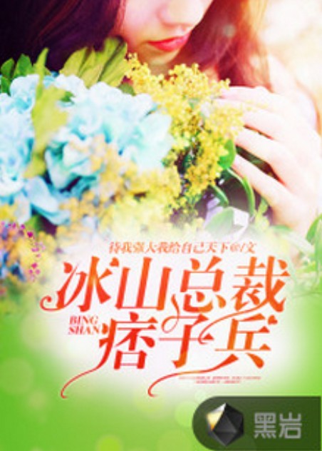 冰山总裁痞子兵
