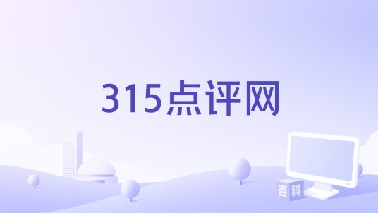 315点评网