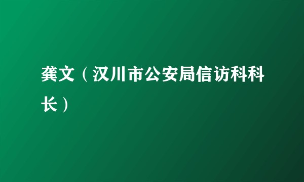 龚文（汉川市公安局信访科科长）
