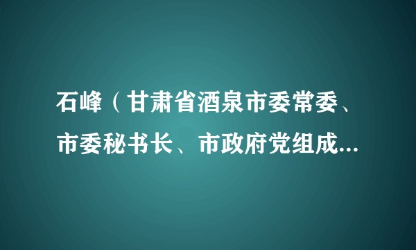 石峰（甘肃省酒泉市委常委、市委秘书长、市政府党组成员、市委直属机关工委书记）