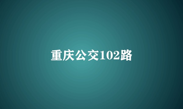重庆公交102路