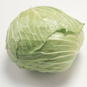牛心菜