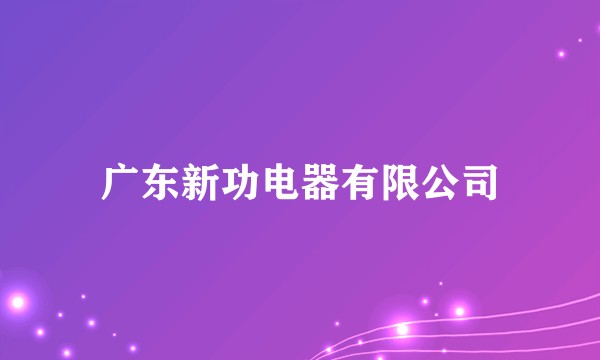 广东新功电器有限公司