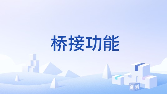 桥接功能