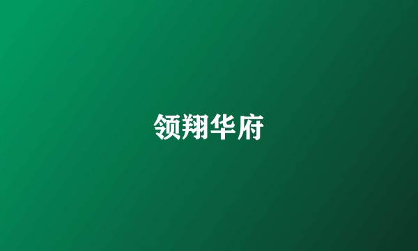 领翔华府