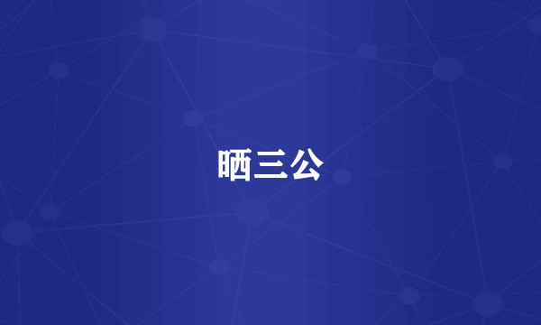 晒三公