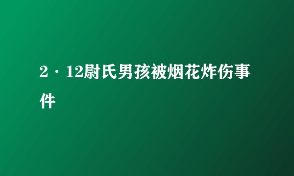 2·12尉氏男孩被烟花炸伤事件