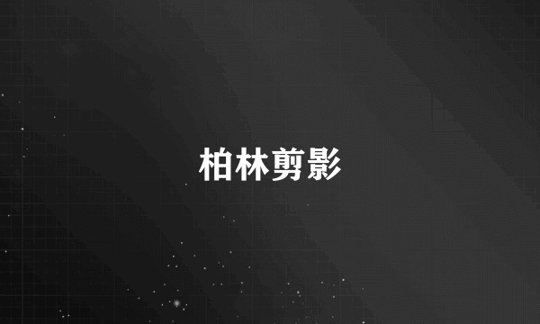 柏林剪影