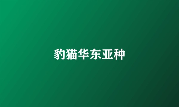 豹猫华东亚种