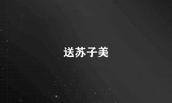 送苏子美