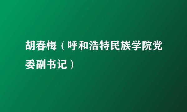 胡春梅（呼和浩特民族学院党委副书记）