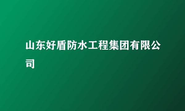 山东好盾防水工程集团有限公司