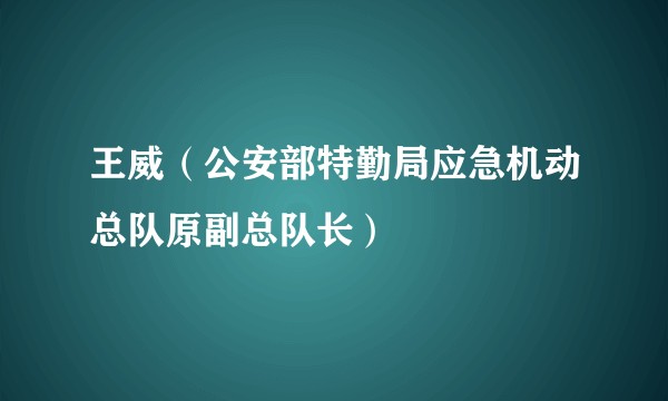 王威（公安部特勤局应急机动总队原副总队长）