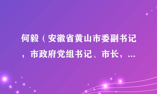 何毅（安徽省黄山市委副书记，市政府党组书记、市长，黄山风景区管理委员会主任）
