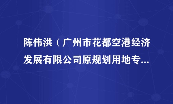 陈伟洪（广州市花都空港经济发展有限公司原规划用地专项事务专员）