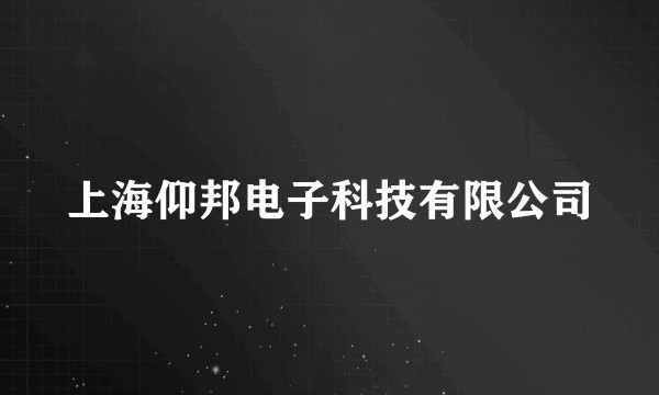 上海仰邦电子科技有限公司