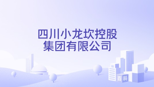 四川小龙坎控股集团有限公司