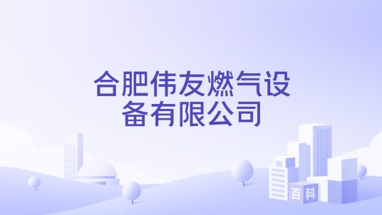 合肥伟友燃气设备有限公司