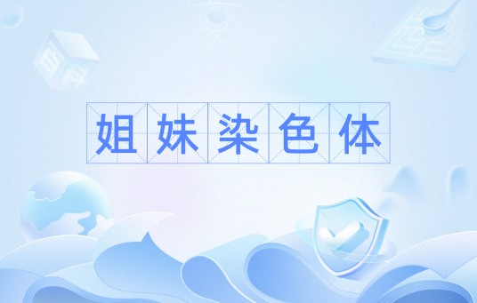 姐妹染色体