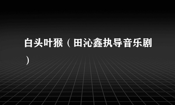 白头叶猴（田沁鑫执导音乐剧）