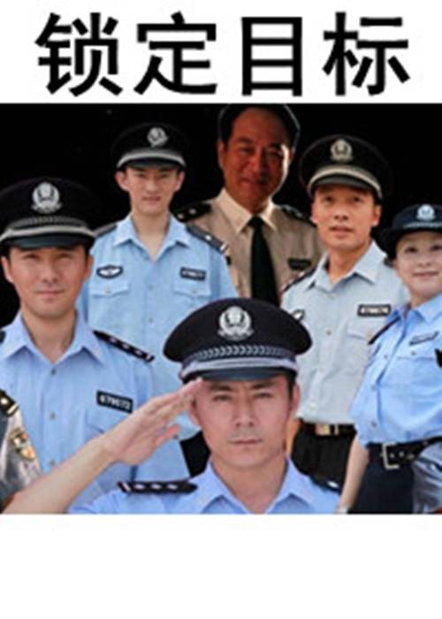 锁定目标（2011年王国贤、金晔执导的警匪电视剧）