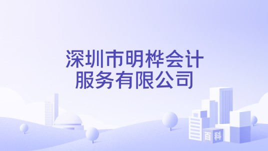 深圳市明桦会计服务有限公司