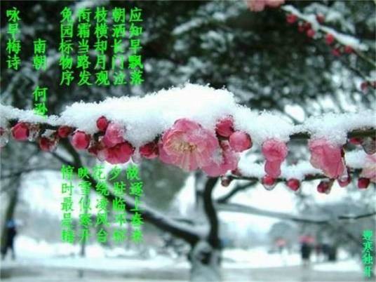 咏早梅