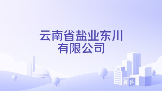 云南省盐业东川有限公司