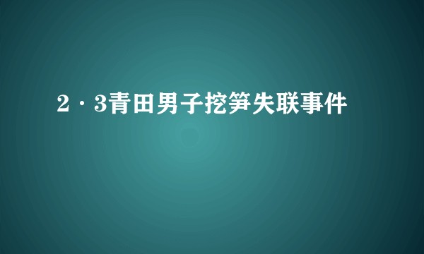 2·3青田男子挖笋失联事件