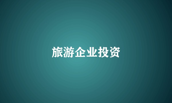 旅游企业投资