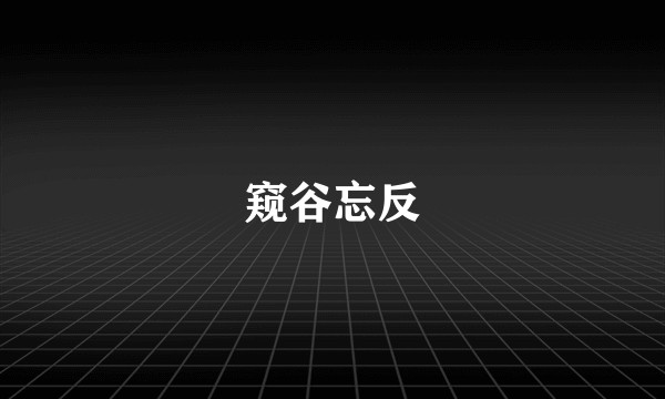 窥谷忘反