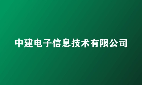 中建电子信息技术有限公司