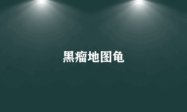 黑瘤地图龟