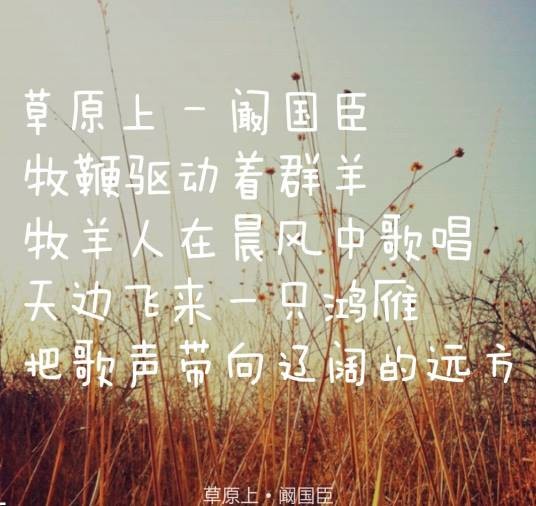 草原上（阚国臣演唱的一首歌曲）