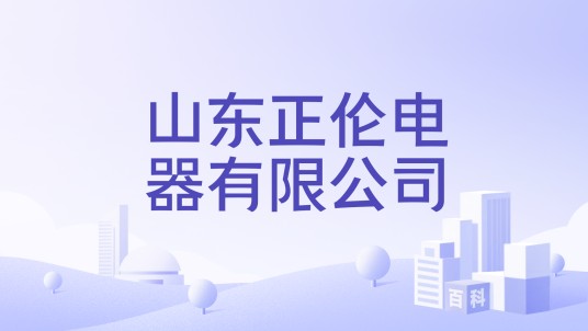 山东正伦电器有限公司