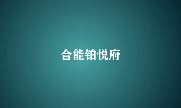 合能铂悦府