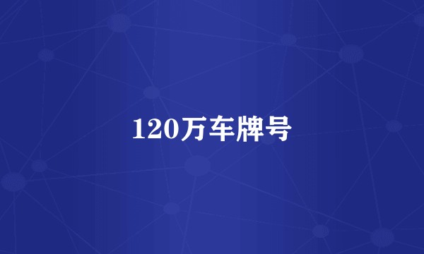 120万车牌号