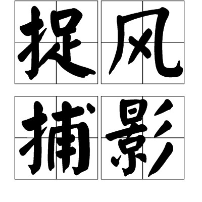 捉风捕影