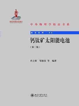 钙钛矿太阳能电池（第二版）