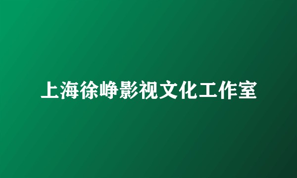 上海徐峥影视文化工作室