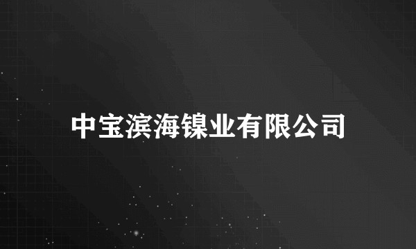 中宝滨海镍业有限公司