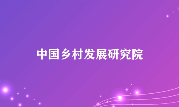 中国乡村发展研究院